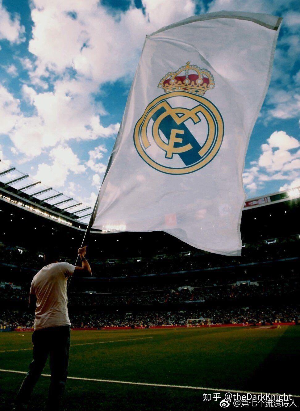 这一提议的 这一提议的